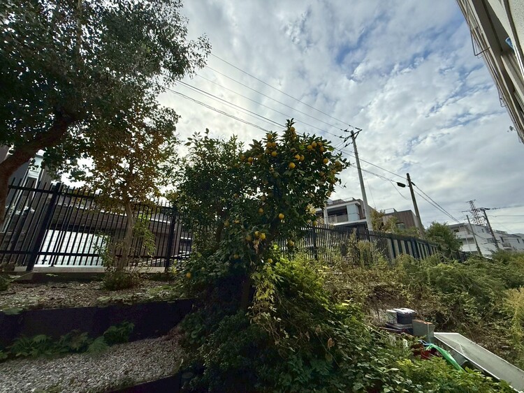 その他 眺望や窓からの景色が良いと、家で過ごす時間も快適です。