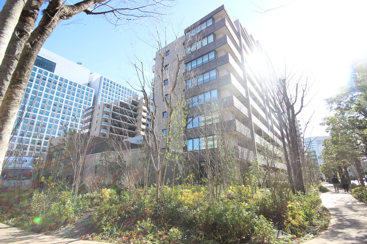 その他 忙しく過ぎゆく日常を置き去るほど、ゆったりした時間が流れる住環境。