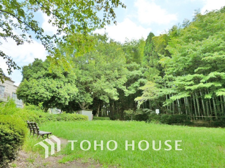 周辺 烏山公園　距離300m