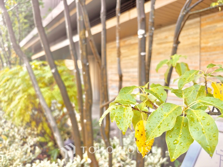 その他 ほんの少しのこだわり。ちょっとした色使いがその家がもつ雰囲気、趣（おもむき）を携え、暮らす家族や訪ねてくる友人・知人に新鮮な香りを運んできます。