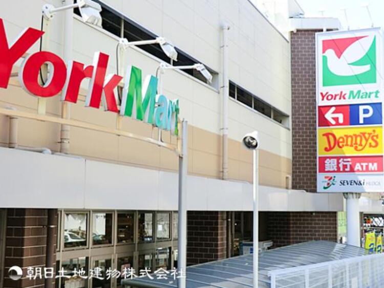 周辺 ヨークマート 妙蓮寺店800ｍ