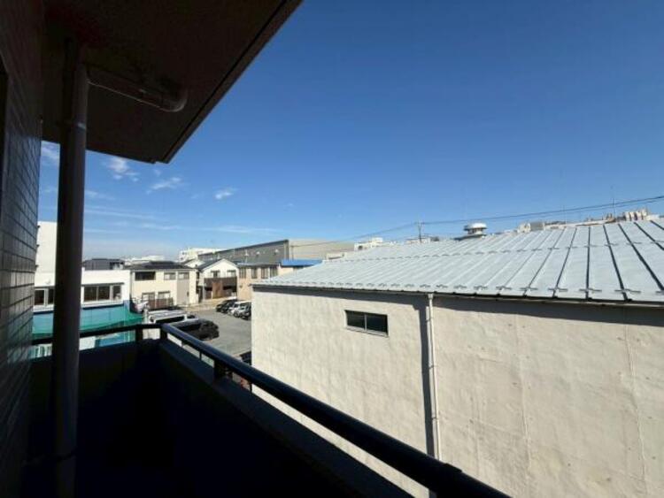 その他 【2025年11月撮影】