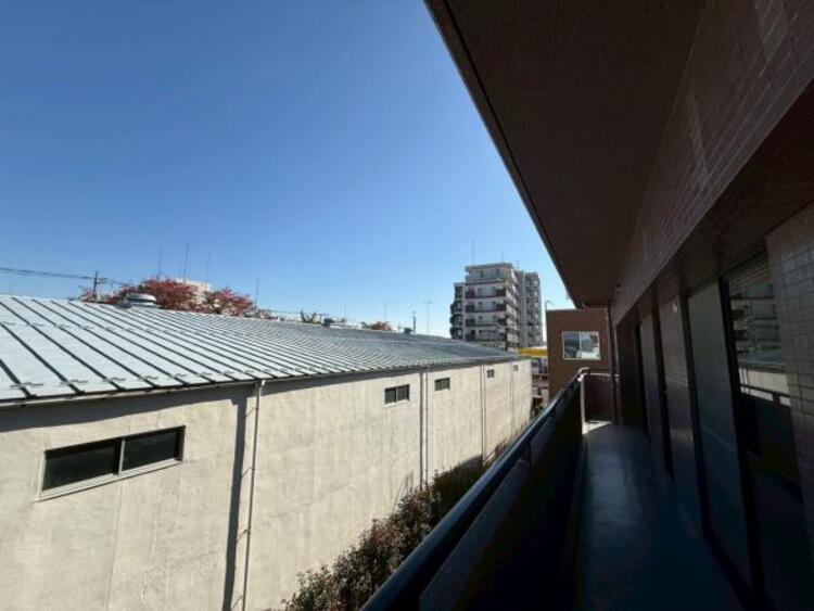 その他 【2025年11月撮影】