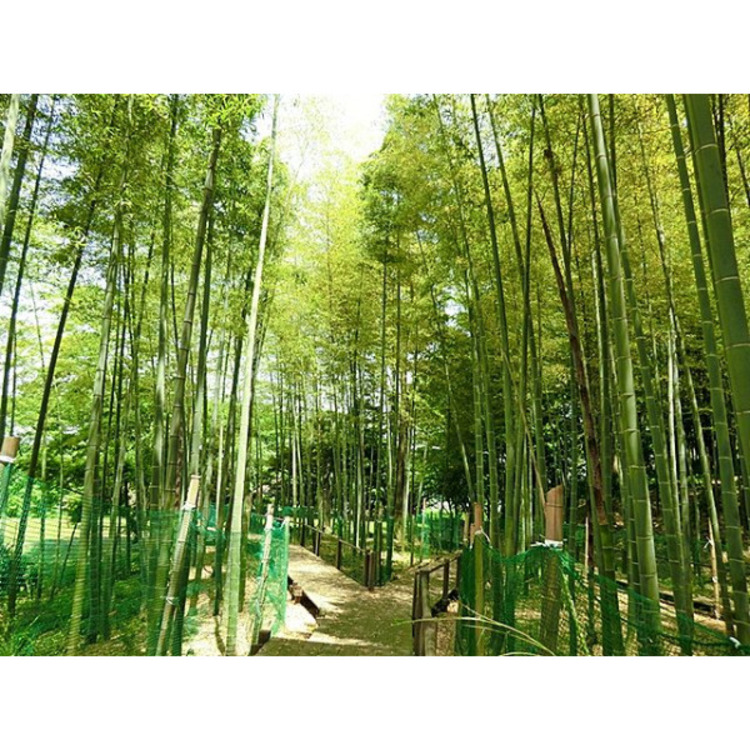 周辺 見沼通船堀公園(約600m)