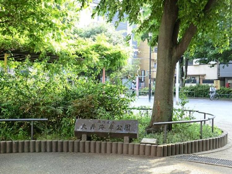 周辺 大井海岸公園　480ｍ