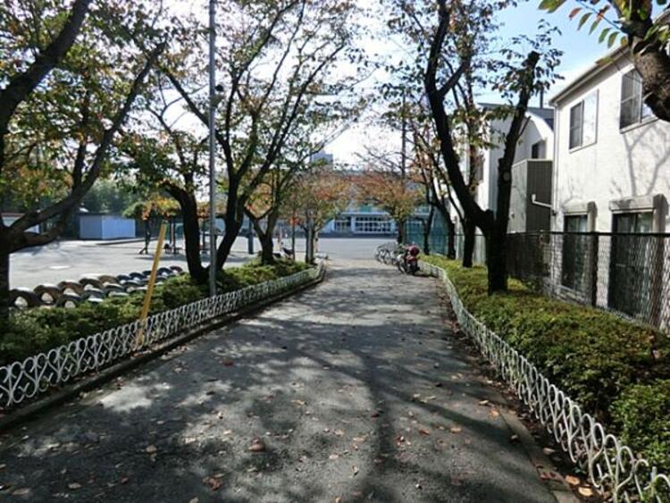 周辺 横浜市立新田小学校　1350ｍ