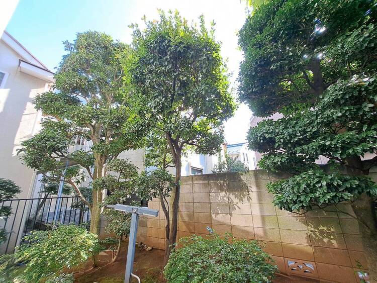 その他 陽当たり・通風・開放感に恵まれた環境です。