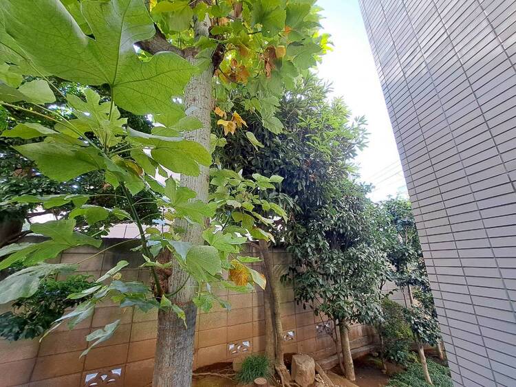 その他 眺望や窓からの景色が良いと、家で過ごす時間も快適です。