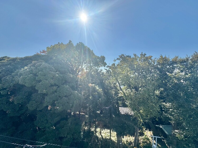 その他 眺望や窓からの景色が良いと、家で過ごす時間も快適です。