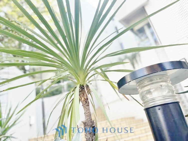 その他 ◆癒しの空間◆室内構成に拘り採光とセンスを散りばめた空間。それは『柔らかさ』に似た素敵な居場所。そこに暮らす人のことを考えつくり出したものは『癒し』という心地よい居場所なんだと思う