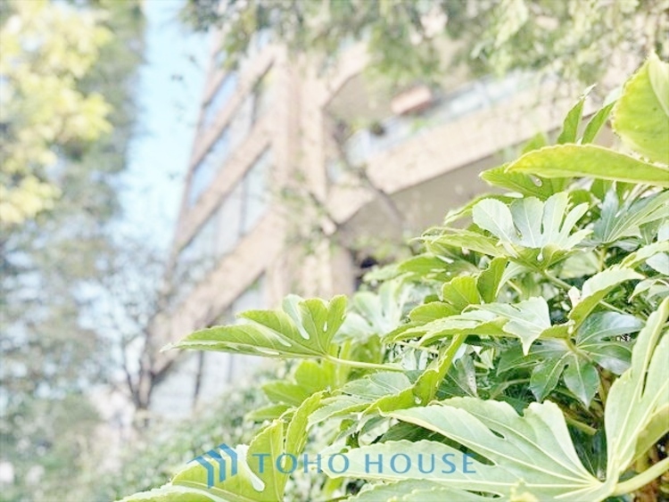 外観 ◆居心地のいい暮らし◆には欠かせない眩い採光。ゆったりとした幅の窓からこの空間に降り注ぐ採光が絶えない。明るいリビングこそ居心地のいい暮らしが待っているのだと思う。