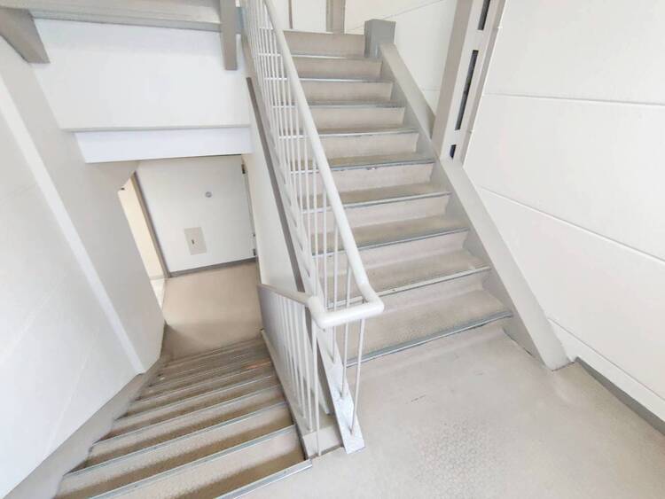 その他 共用部の階段です。明るく清潔に管理されています。