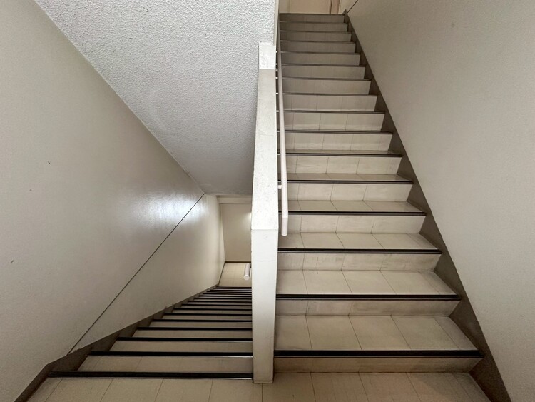 その他 共用部の階段です。明るく清潔に管理されています。
