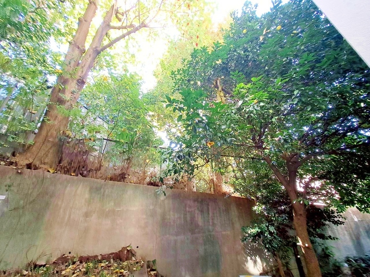 バルコニー 窓を開けると広がる青空。心をリフレッシュして日々を過ごしていきましょう。