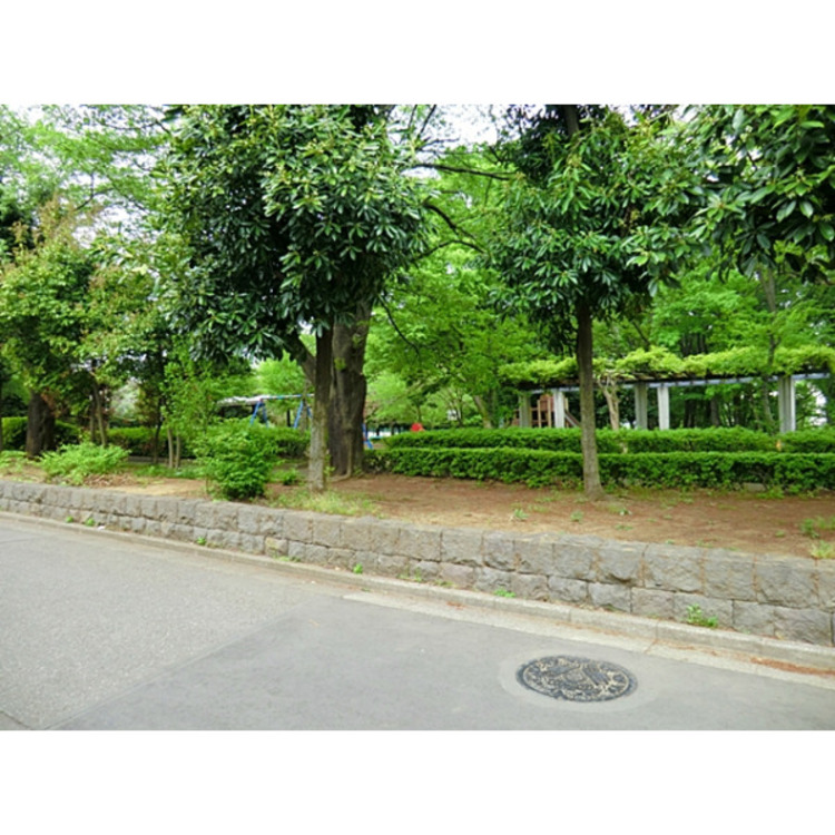 周辺 亀ケ谷公園(約150m)