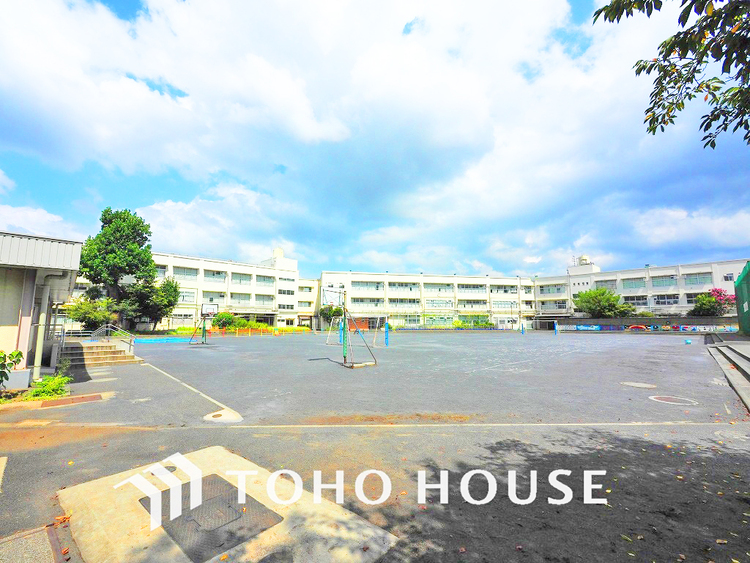 周辺 横浜市立白根小学校　距離750ｍ