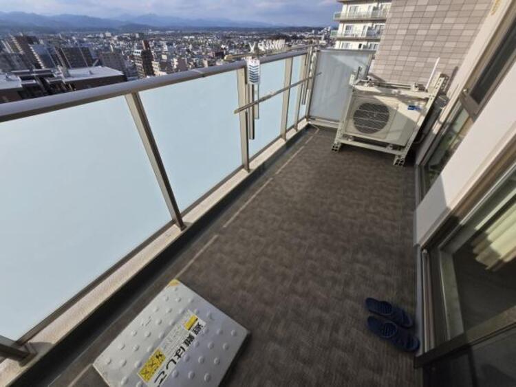 その他 【2025年11月撮影】