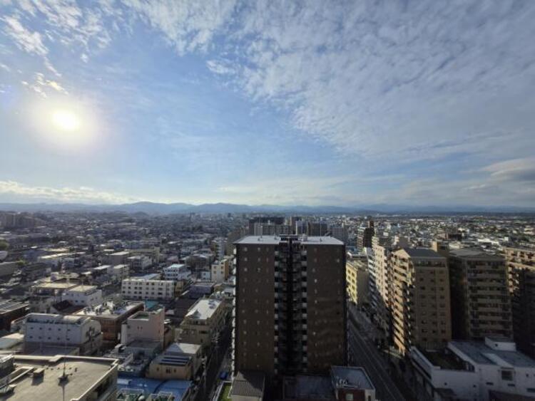 その他 【2025年11月撮影】