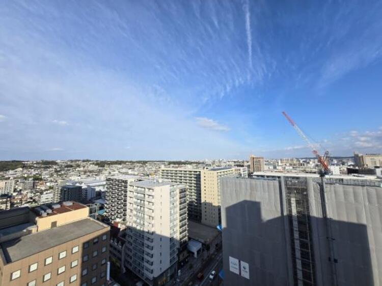 その他 【2025年11月撮影】