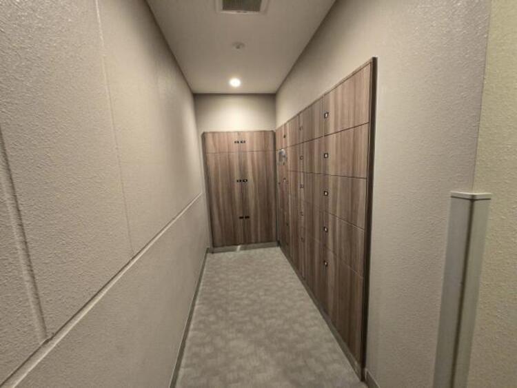 その他 【2025年11月撮影】