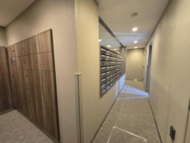 その他 【2025年11月撮影】