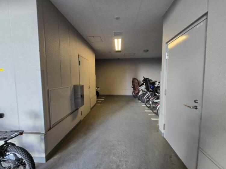 その他 【2025年11月撮影】