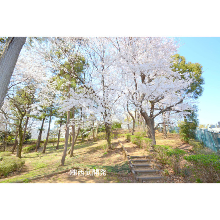 周辺 坂下湧水公園(約170m)