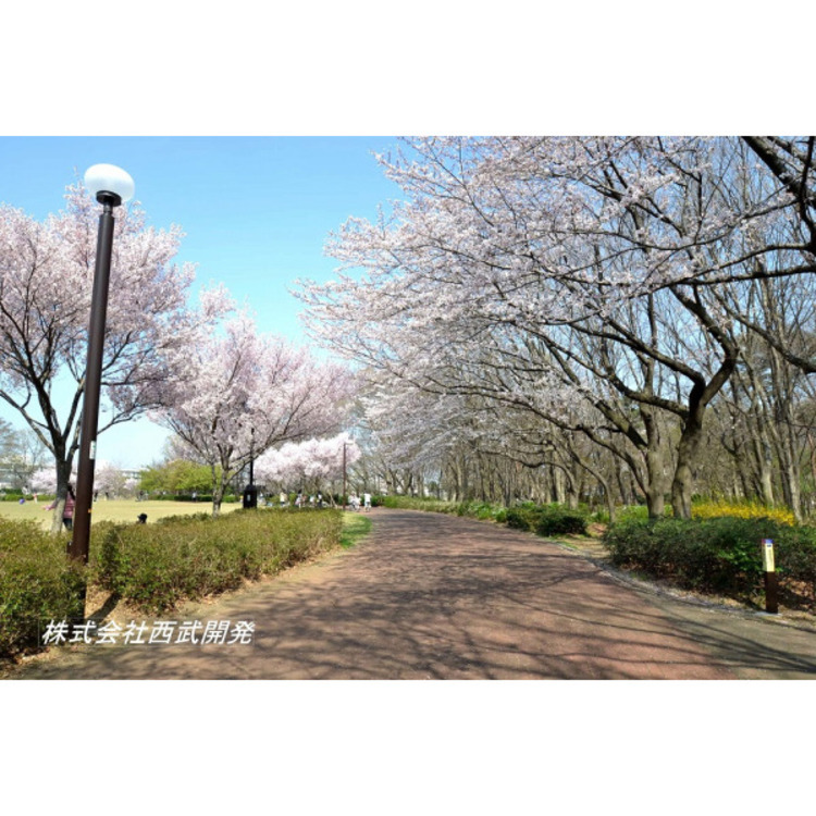 周辺 東村山中央公園(約750m)