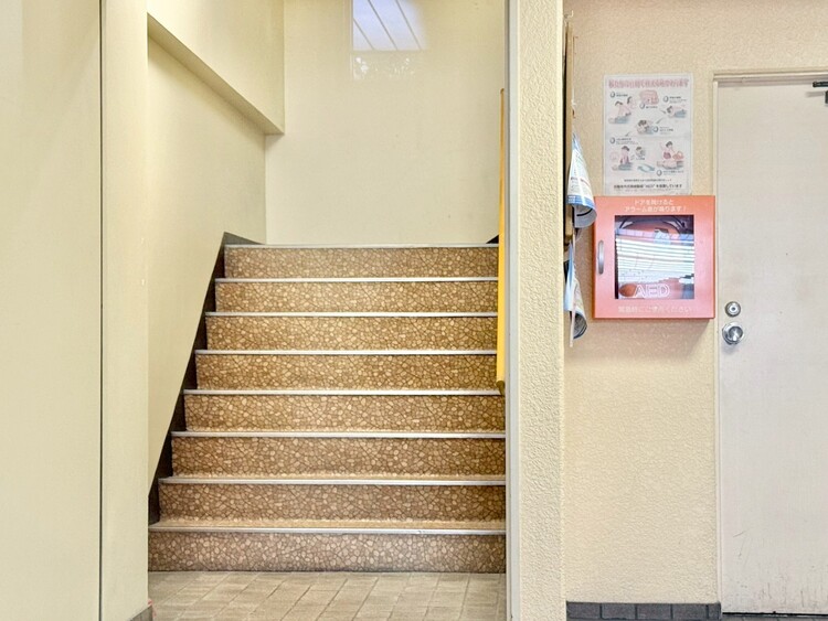 その他 共用部の階段です。明るく清潔に管理されています。