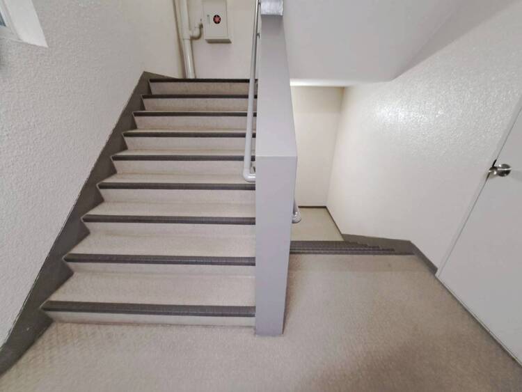 その他 共用部の階段です。明るく清潔に管理されています。
