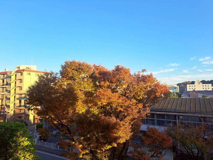 その他 眺望や窓からの景色が良いと、家で過ごす時間も快適です。