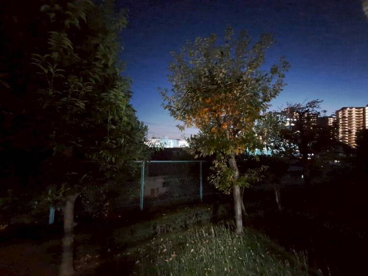 その他 陽当たり・通風・開放感に恵まれた環境です。