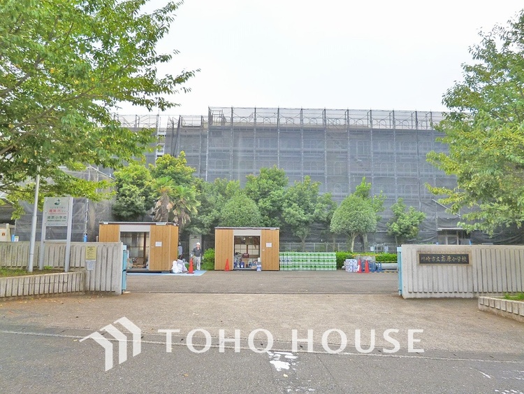 周辺 川崎市立南原小学校　距離600ｍ