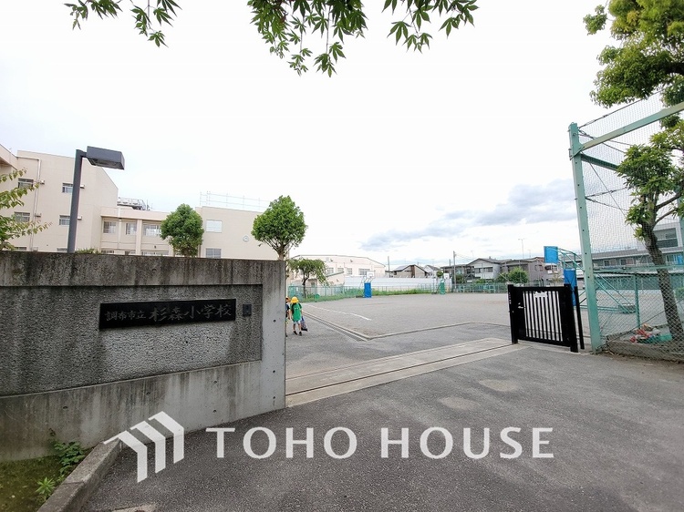 周辺 調布市立杉森小学校　距離500ｍ