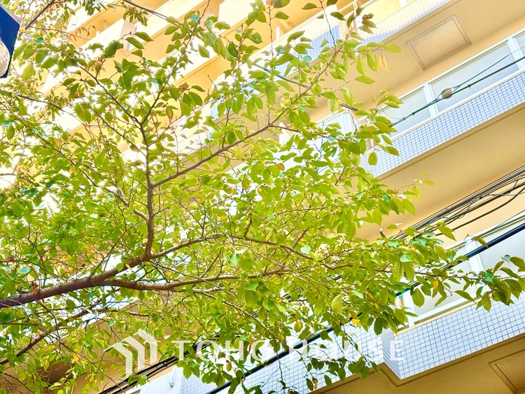 外観 ほんの少しのこだわり。ちょっとした色使いがその家がもつ雰囲気、趣（おもむき）を携え、暮らす家族や訪ねてくる友人・知人に新鮮な香りを運んできます。