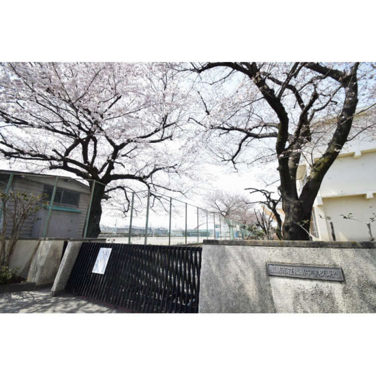 周辺 福島中学校(約1000m)