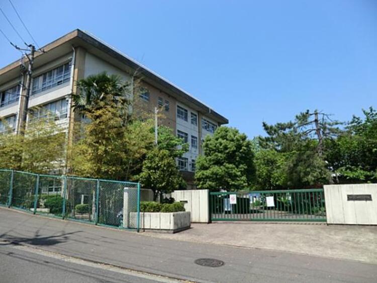 周辺 西野川小学校	275m