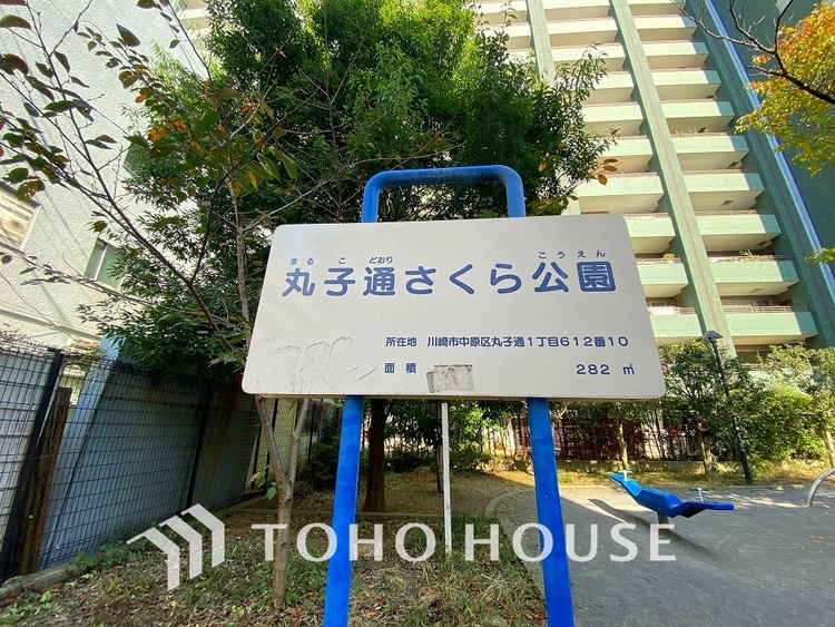 周辺 丸子通さくら公園　距離250ｍ