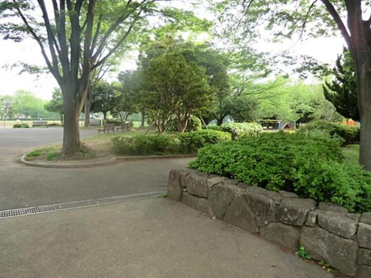 周辺 嶮山公園まで約1000ｍ