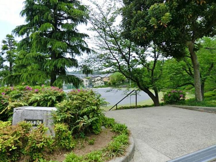 周辺 いの山東公園まで約350ｍ