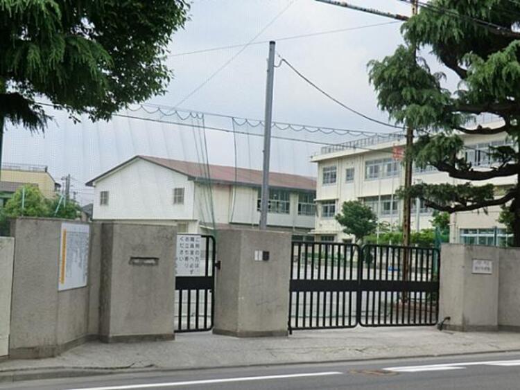 周辺 川崎市立古川小学校　1100ｍ