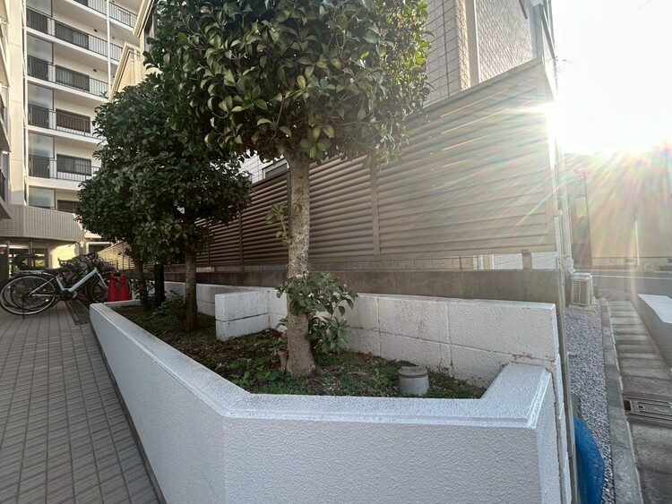 その他 マンションの敷地内には、中庭もございます。