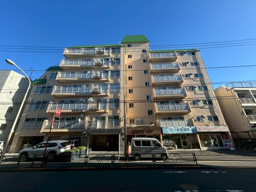 玉川台スカイマンションの物件画像