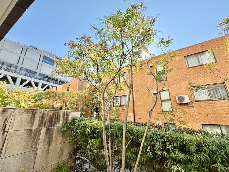 その他 眺望や窓からの景色が良いと、家で過ごす時間も快適です。