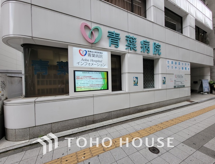 周辺 医療法人財団 青葉会 青葉病院　距離350ｍ