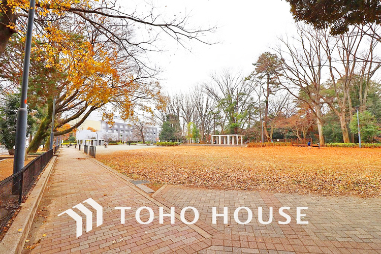 周辺 世田谷区立将軍池公園　距離750m