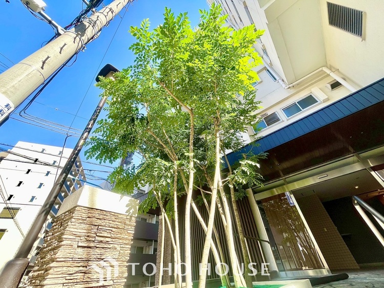 外観 【APPEARANCE】◆ここが居場所◆家族みんなが集うこの場所で、あなただけのＳＴＯＲＹを。あなたが笑い、家族が笑い、幸せが溢れる夢のような毎日を。