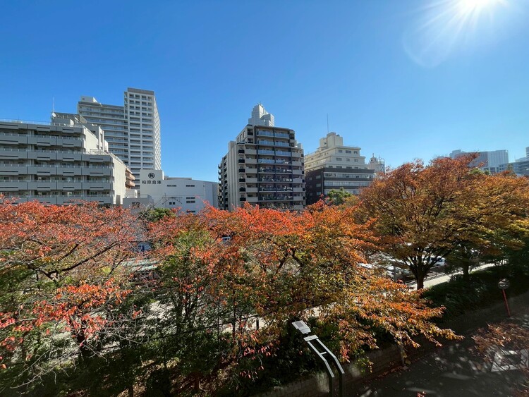 その他 陽当たり・通風・開放感に恵まれた環境です。