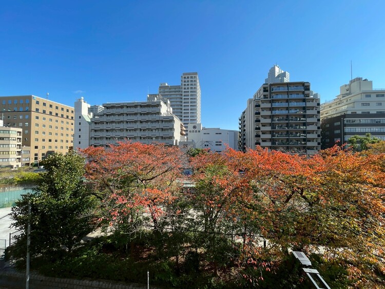 その他 眺望や窓からの景色が良いと、家で過ごす時間も快適です。