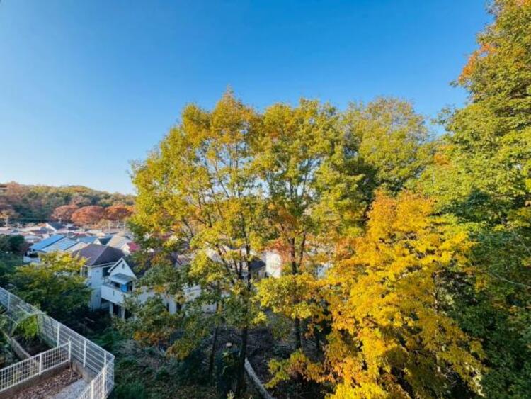 その他 【2025年11月撮影】